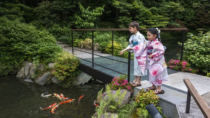 Four Seasons Hotel Kyoto 鯉