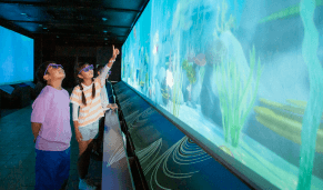 変なホテル ラグーナテンボス 3D水族館