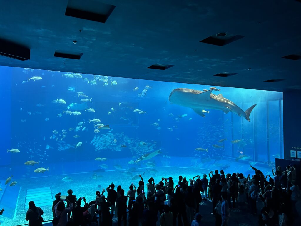 美ら海水族館