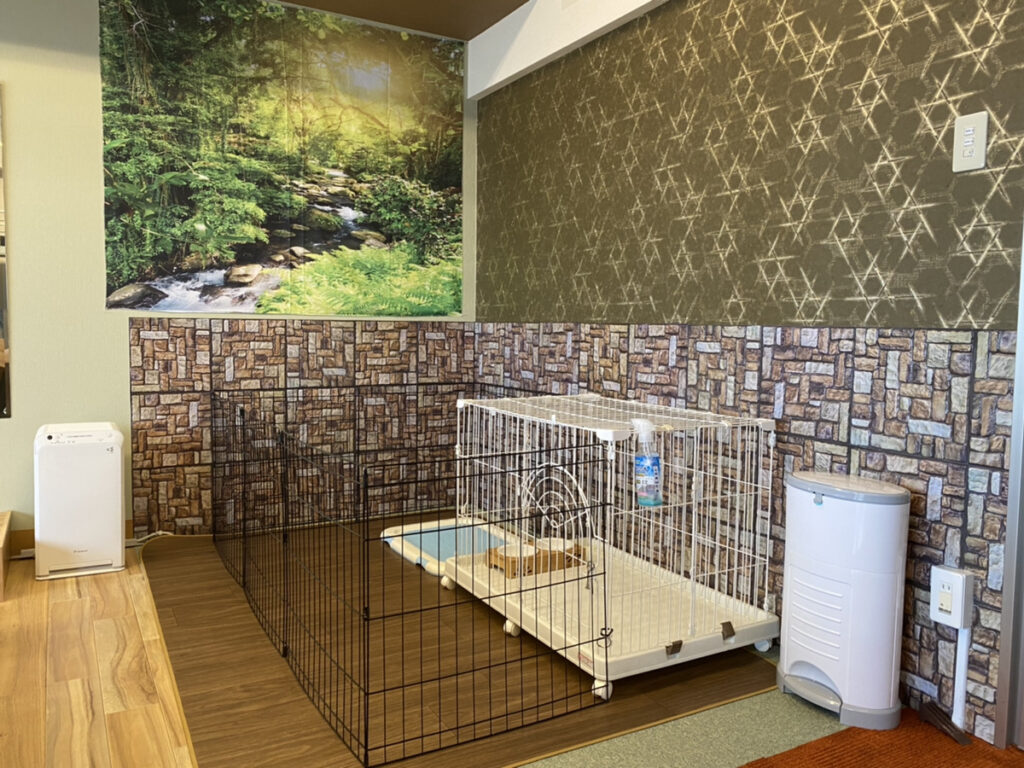 ワンワン部屋
