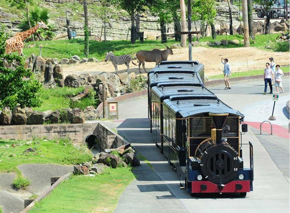 列車型観覧車両