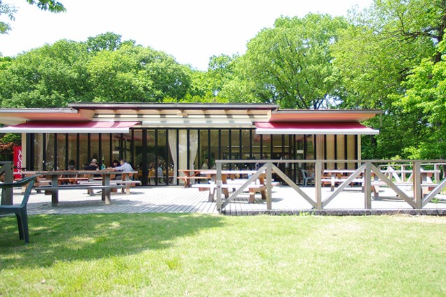 国営武蔵丘陵森林公園　中央レストラン