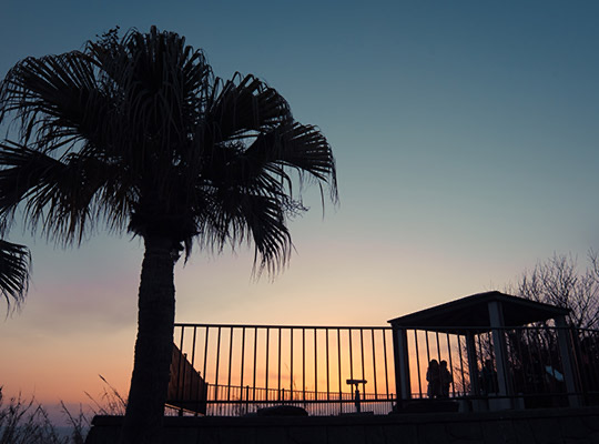 夕陽ヶ丘展望所 アイランド長崎