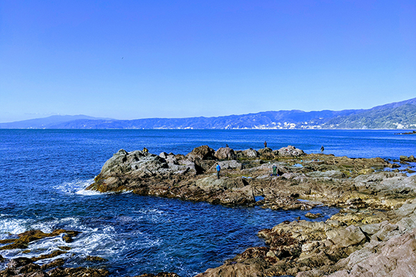 グルメと天然温泉の宿 SHIOSAI 　磯釣り
