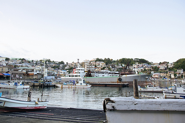 グルメと天然温泉の宿 SHIOSAI　船釣り