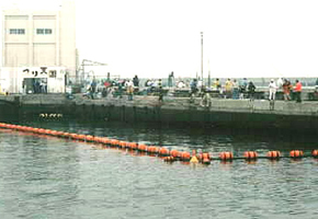 民宿 妙子 篠島釣り天国