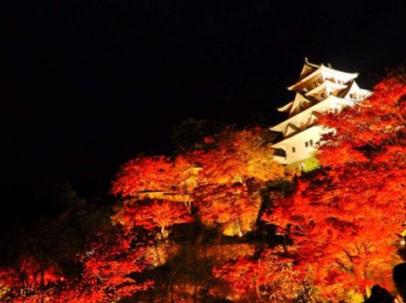 徒歩圏内にある郡上八幡城