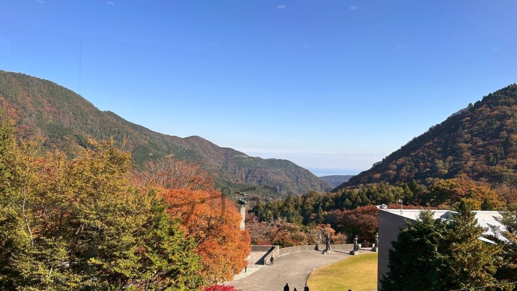 レストランからの景色