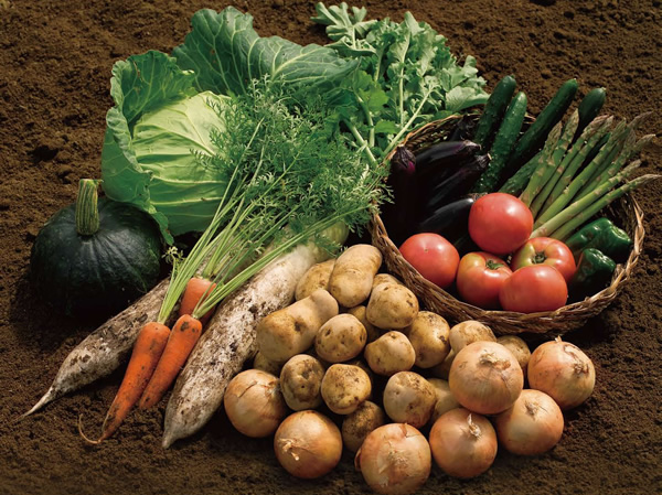 みんなのやさい畑 新鮮野菜