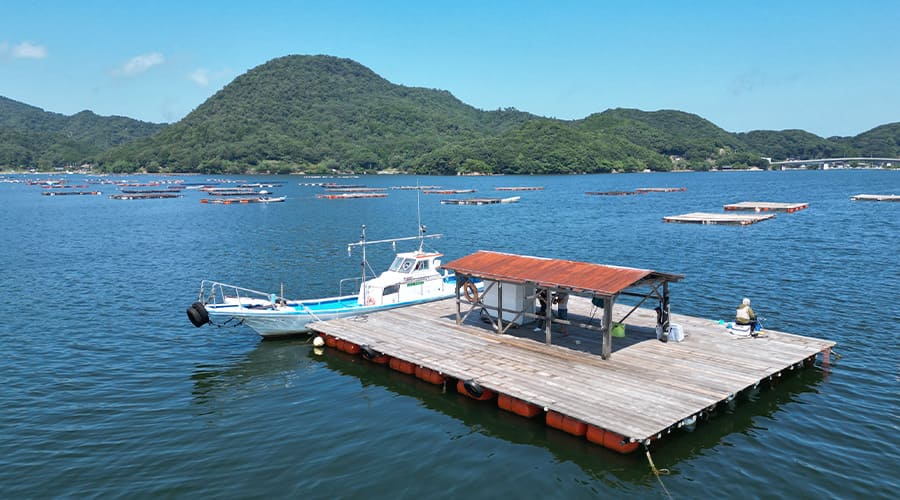 シーサイド西中 釣り