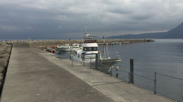 悠彩の宿 望海 釣り