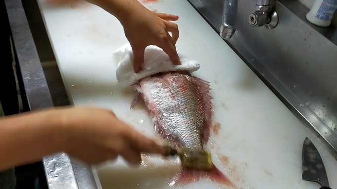 旅館 つり幸　魚さばき体験プラン