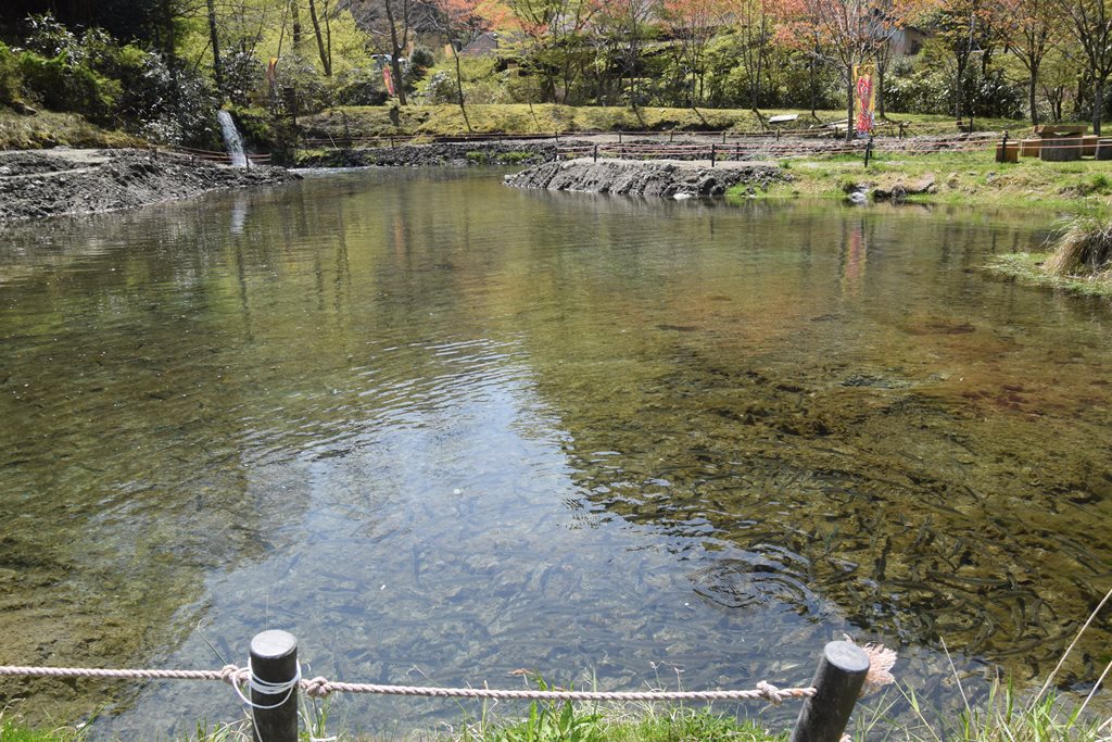 ホテル フォレストピア　釣り堀