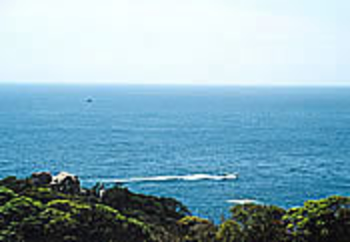 民宿　福田家　釣りスポット