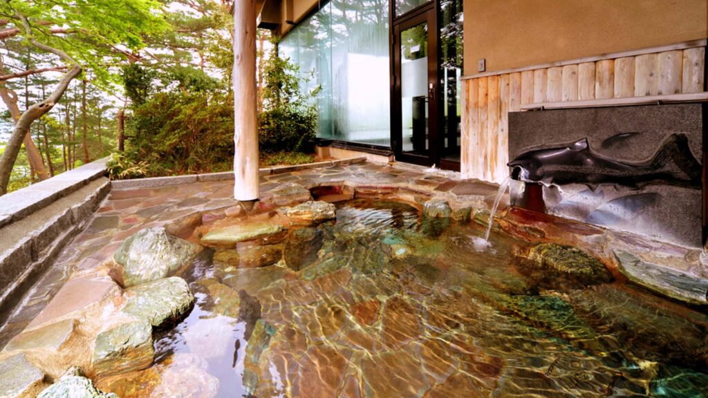 浄土ヶ浜パークホテル さけの湯