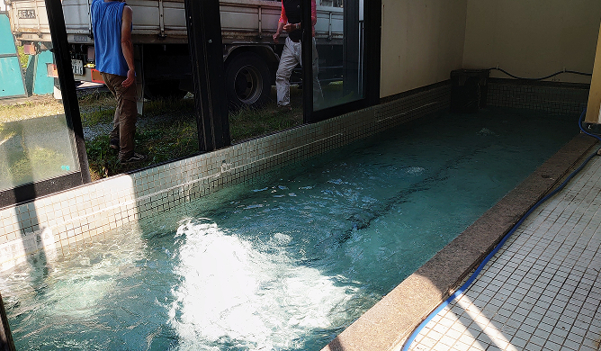 長者屋敷　屋内生け簀