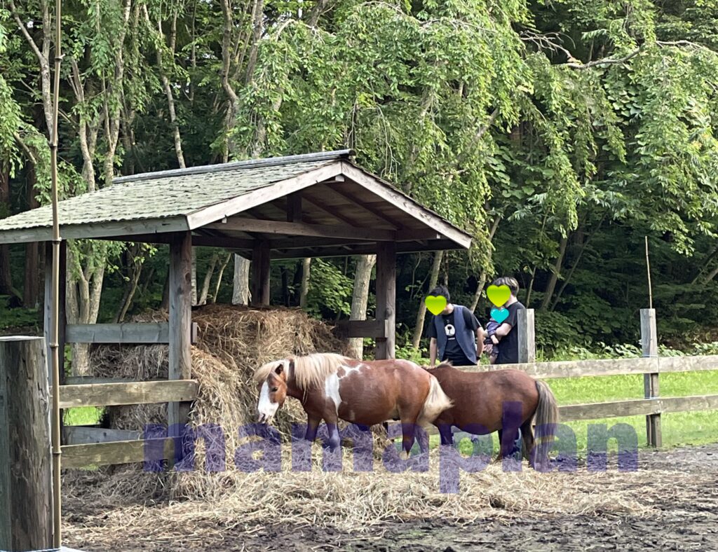 青森屋の馬小屋
