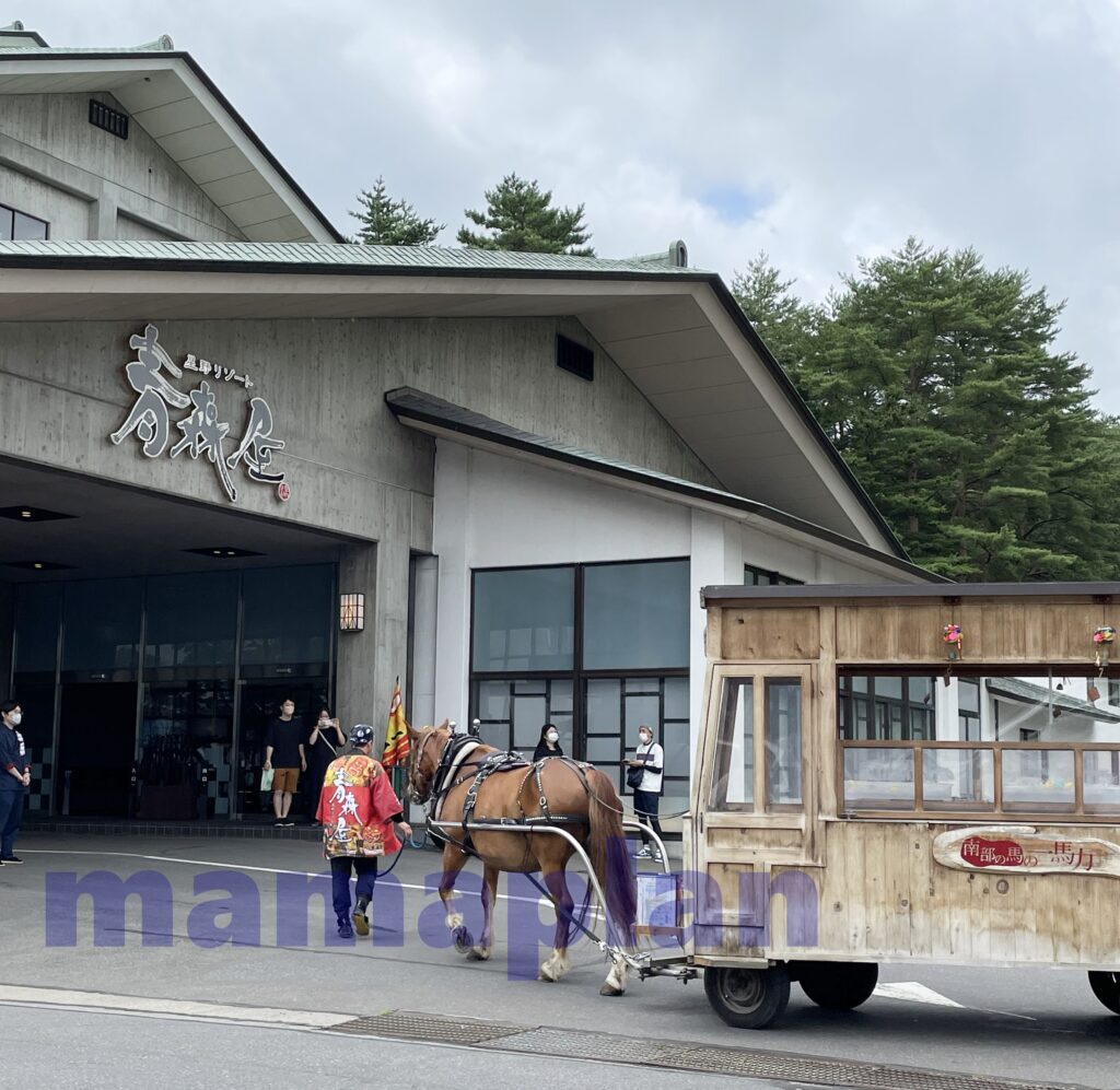 青森屋の入口にいた馬