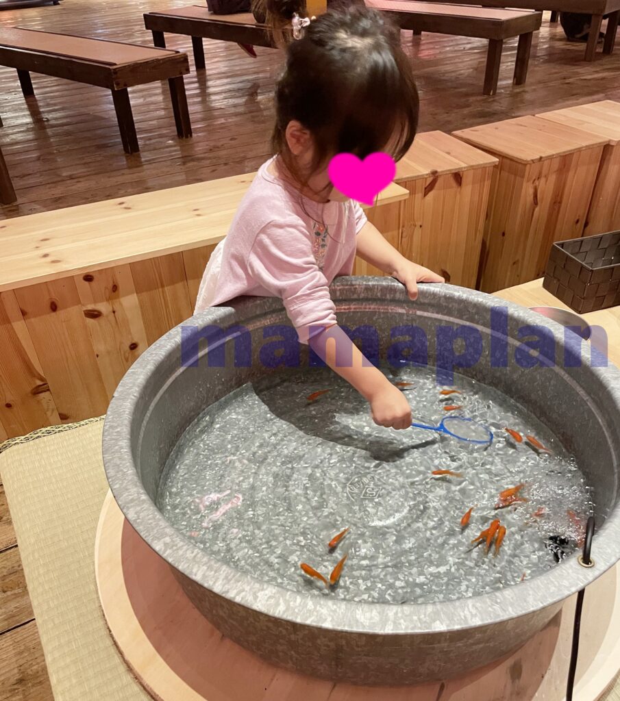 青森屋での金魚すくい